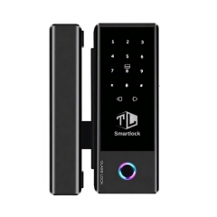 KHÓA VÂN TAY CỬA KÍNH TL21